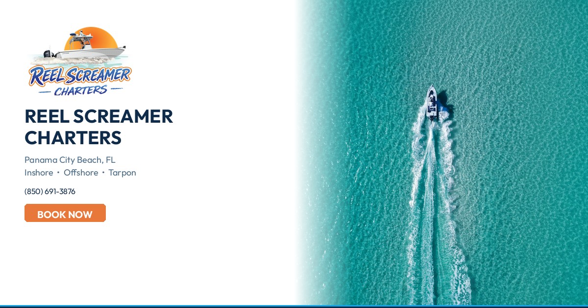 Reel Screamer Light Tackle Fishing Charters